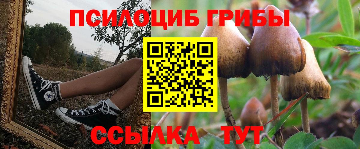 Псилоцибиновые грибы GOLDEN TEACHER  Псилоцибиновые грибы Psilocybine cubensis  Вход с VPN  Елизово 