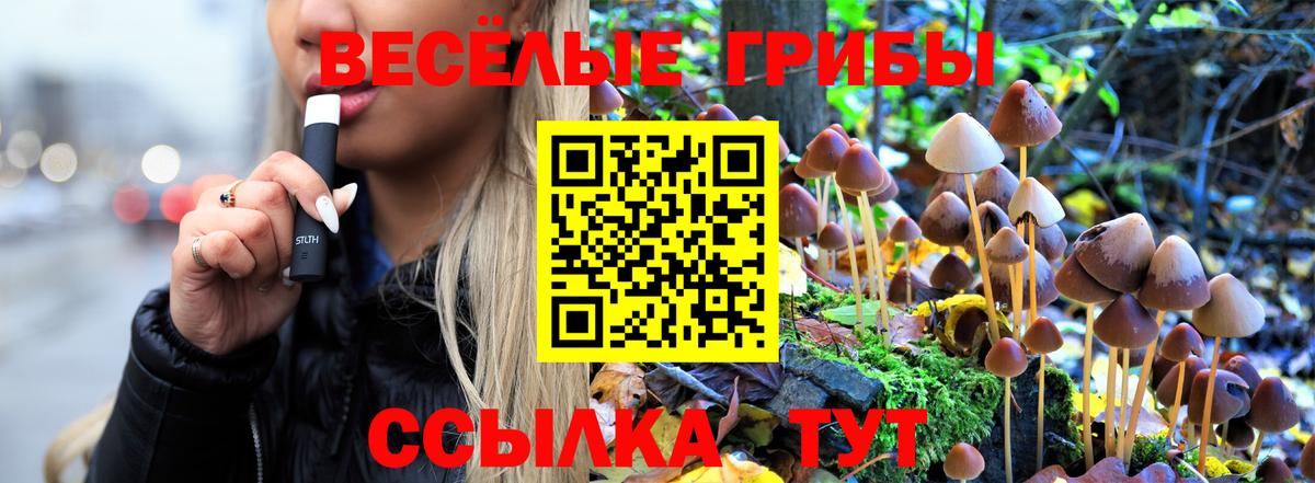 Галлюциногенные грибы GOLDEN TEACHER Елизово